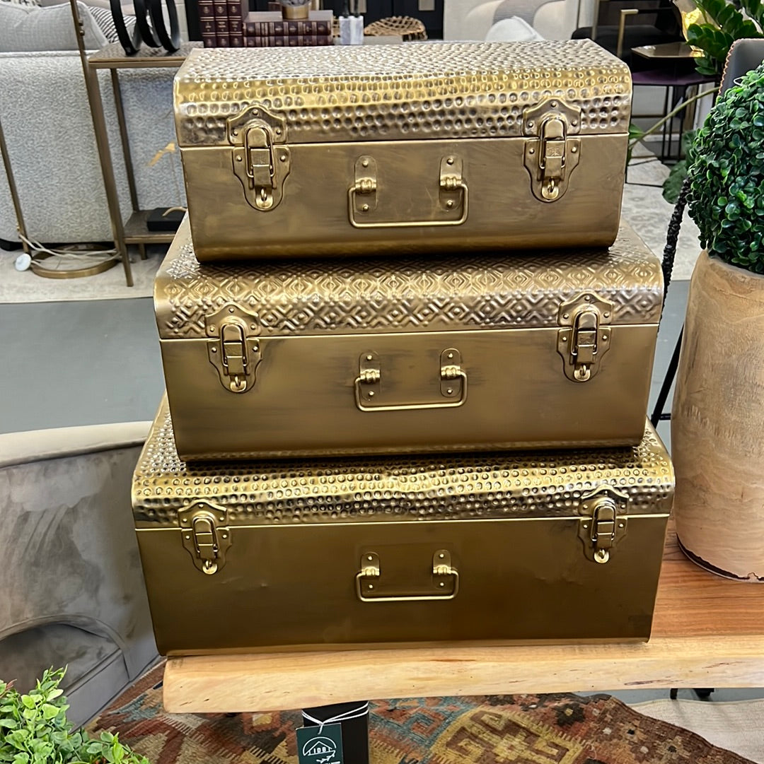 Gold Trunk Lg