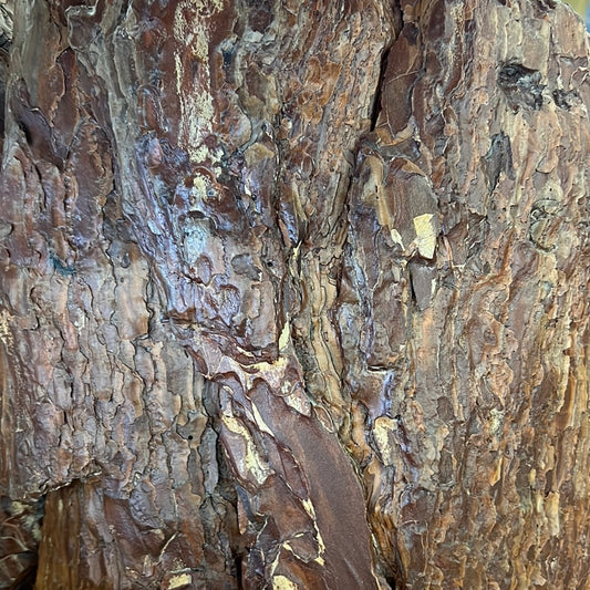 Bark Wall Hanging